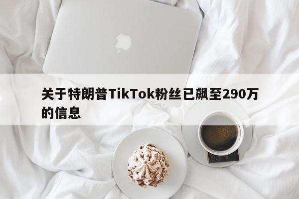 关于特朗普TikTok粉丝已飙至290万的信息