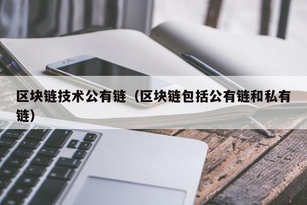 区块链技术公有链（区块链包括公有链和私有链）