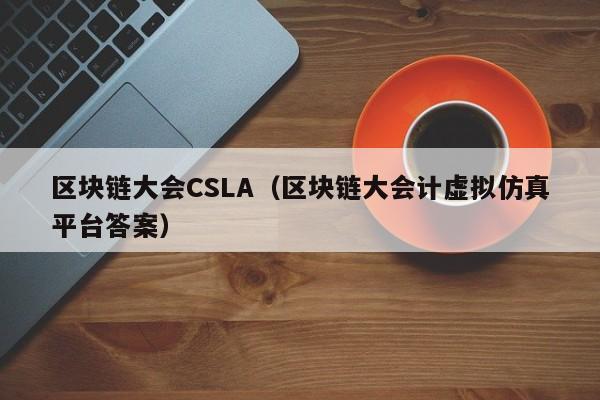 区块链大会CSLA（区块链大会计虚拟仿真平台答案）