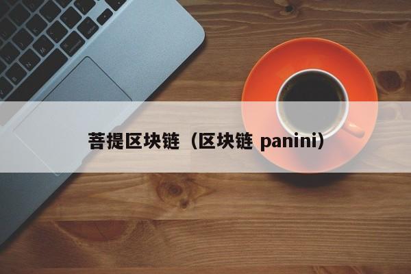 菩提区块链（区块链 panini）