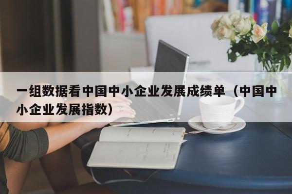 一组数据看中国中小企业发展成绩单（中国中小企业发展指数）