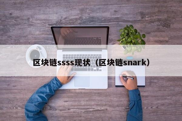 区块链ssss现状（区块链snark）