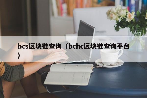 bcs区块链查询（bchc区块链查询平台）