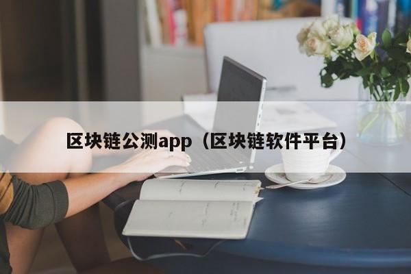 区块链公测app（区块链软件平台）