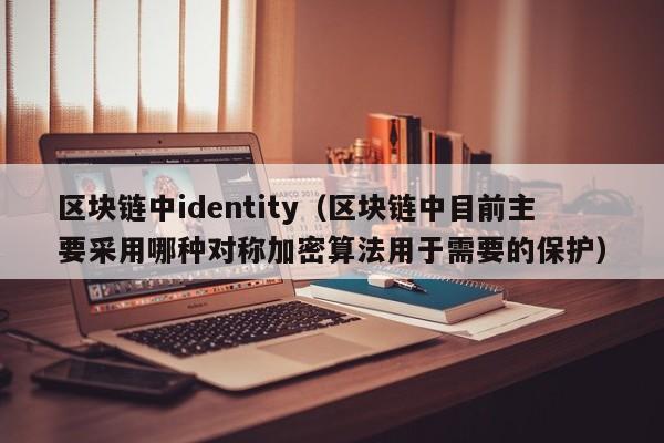 区块链中identity（区块链中目前主要采用哪种对称加密算法用于需要的保护）