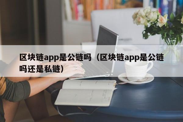 区块链app是公链吗（区块链app是公链吗还是私链）