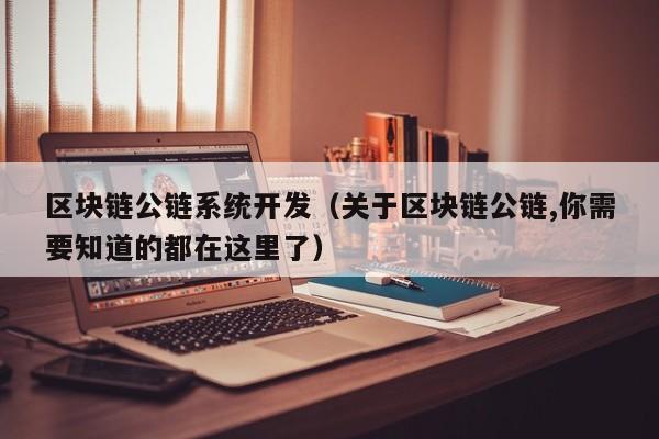 区块链公链系统开发（关于区块链公链,你需要知道的都在这里了）