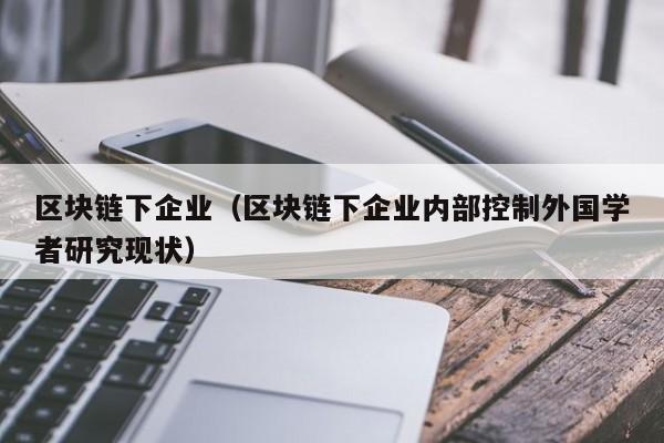 区块链下企业（区块链下企业内部控制外国学者研究现状）