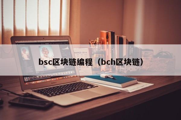 bsc区块链编程（bch区块链）