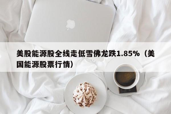 美股能源股全线走低雪佛龙跌1.85%（美国能源股票行情）