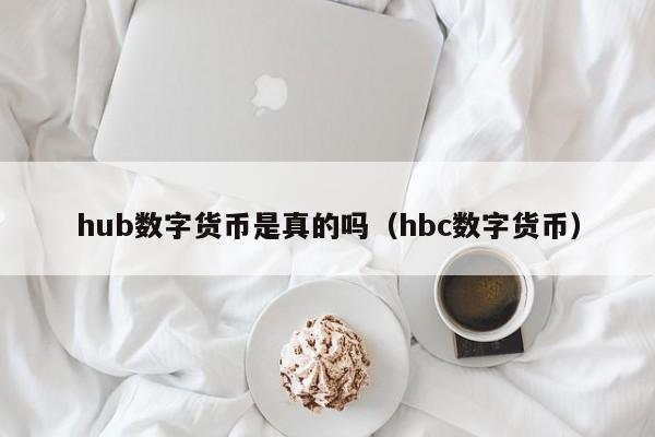 hub数字货币是真的吗（hbc数字货币）