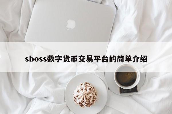 sboss数字货币交易平台的简单介绍