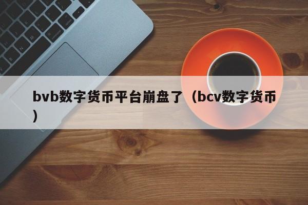 bvb数字货币平台崩盘了（bcv数字货币）