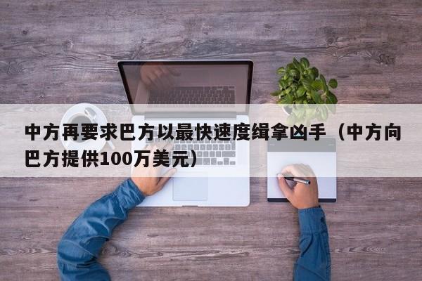 中方再要求巴方以最快速度缉拿凶手（中方向巴方提供100万美元）