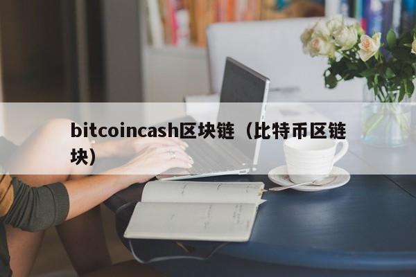 bitcoincash区块链（比特币区链块）