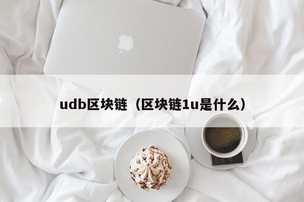 udb区块链（区块链1u是什么）