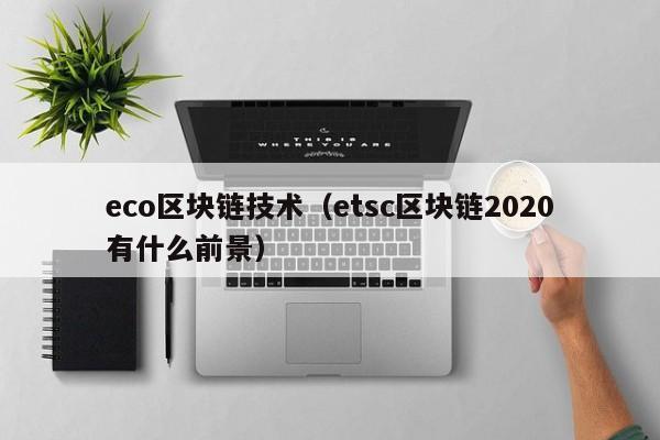 eco区块链技术（etsc区块链2020有什么前景）