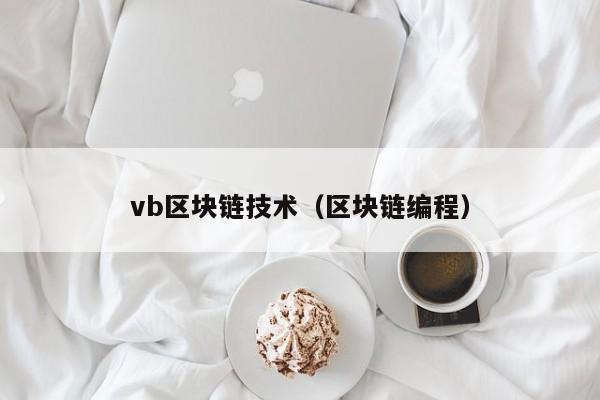 vb区块链技术（区块链编程）