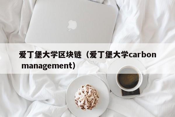 爱丁堡大学区块链（爱丁堡大学carbon management）