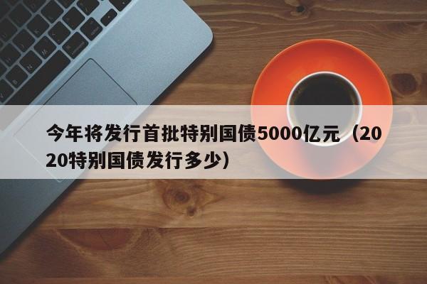 今年将发行首批特别国债5000亿元（2020特别国债发行多少）