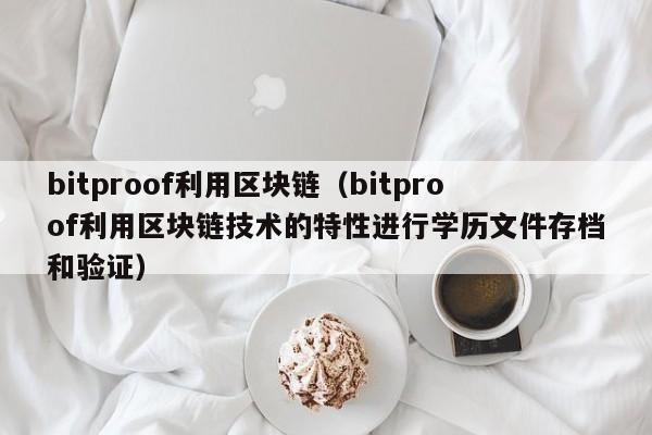 bitproof利用区块链（bitproof利用区块链技术的特性进行学历文件存档和验证）