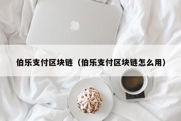 伯乐支付区块链（伯乐支付区块链怎么用）