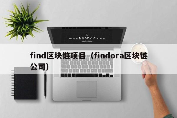 find区块链项目（findora区块链公司）