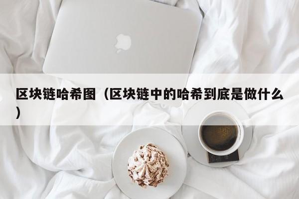 区块链哈希图（区块链中的哈希到底是做什么）