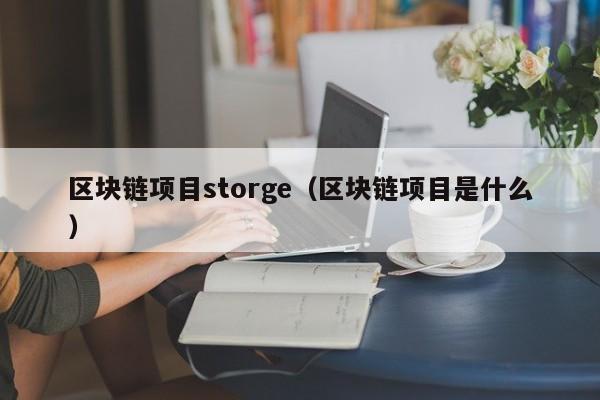 区块链项目storge（区块链项目是什么）